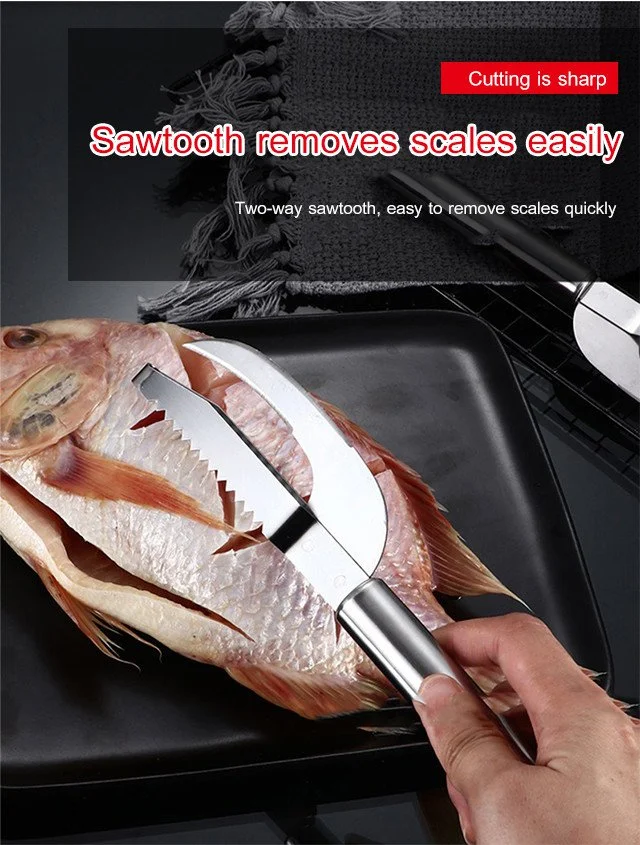 Stainless Steel Fish Scale Remover with Ergonomic Round Handle