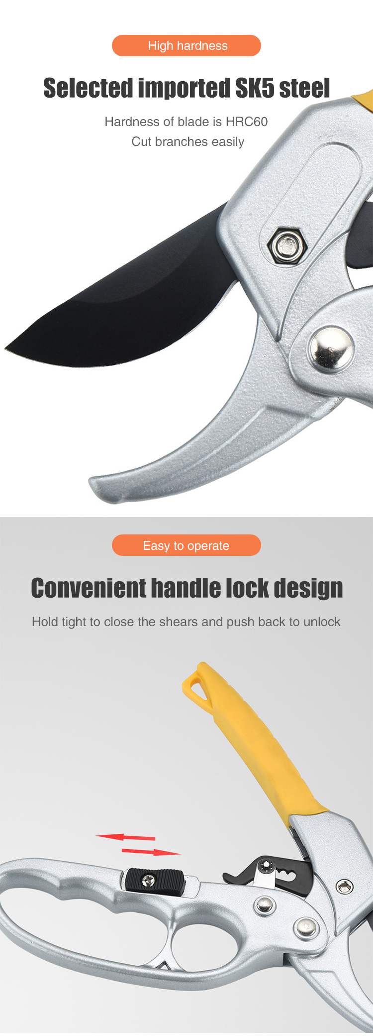 TH pruning shears trimming rose bush