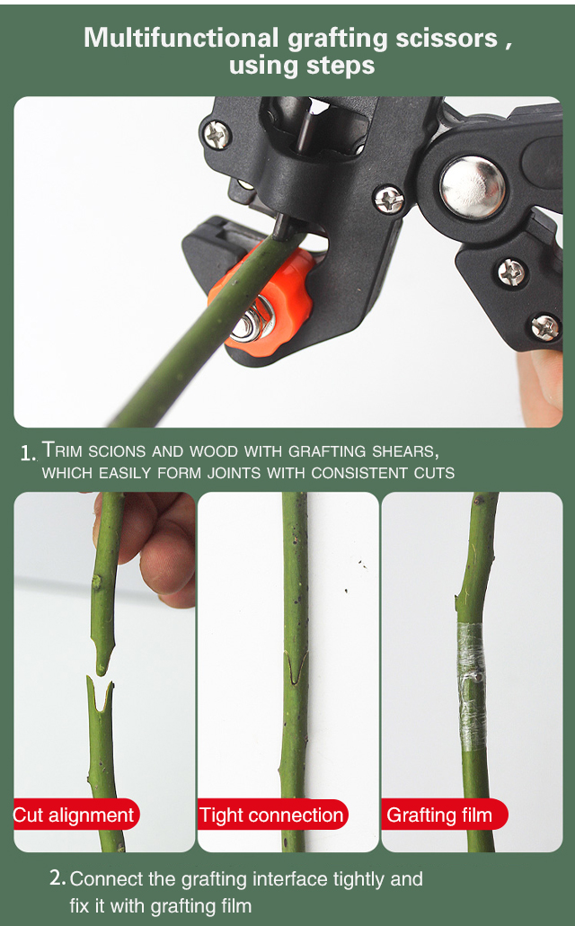 Gardeners using multi-purpose grafting scissors outdoors