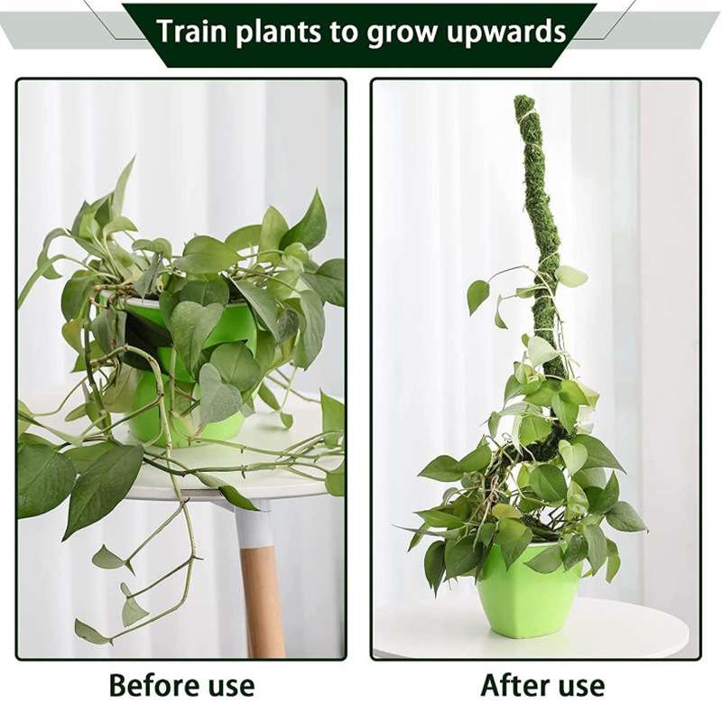 Bendable greenery climbing vine bracket gardening tools dyeing support pole