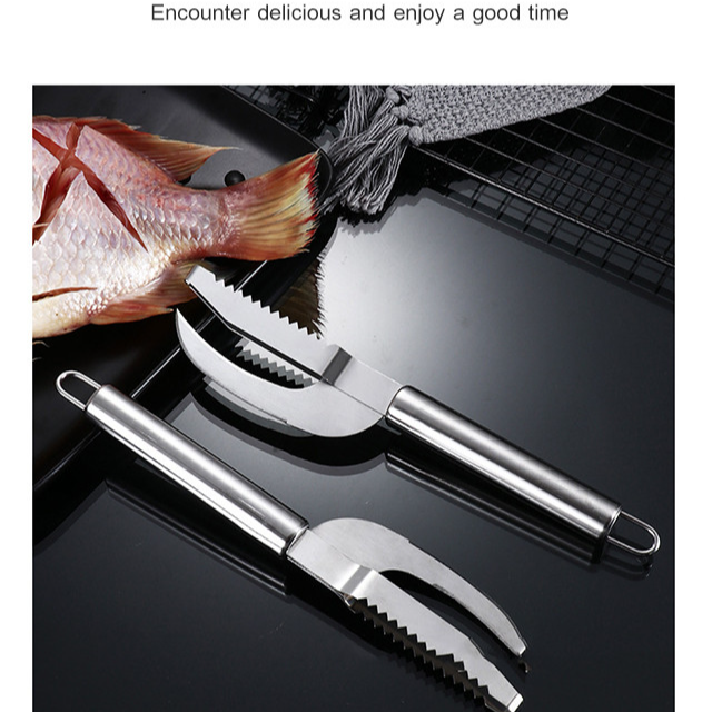 Stainless Steel Multi-Purpose Fish Scale Remover with Round Handle