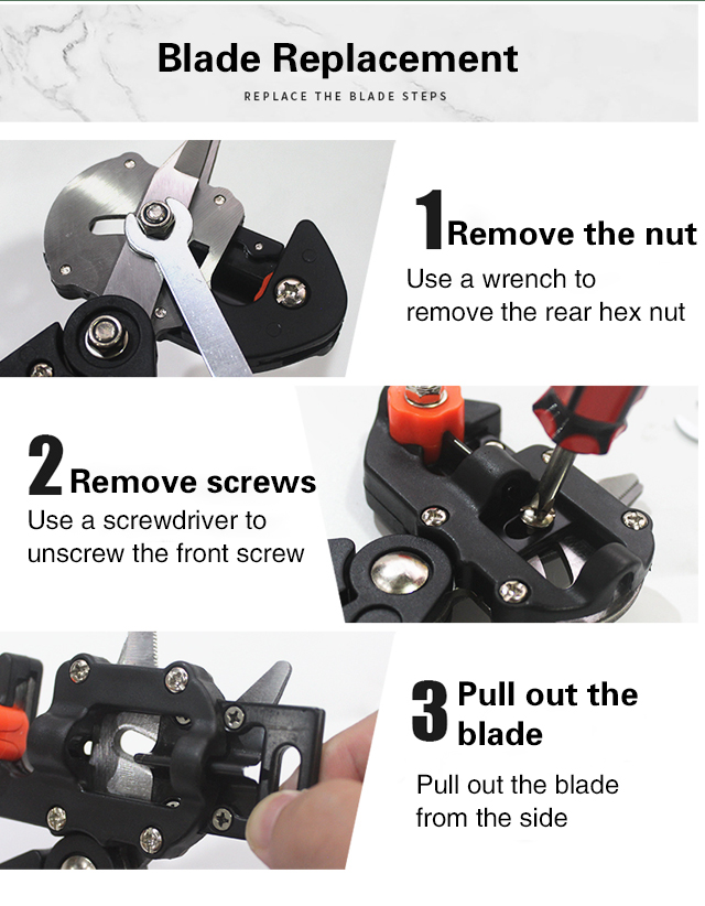 Grafting scissors in home garden setting