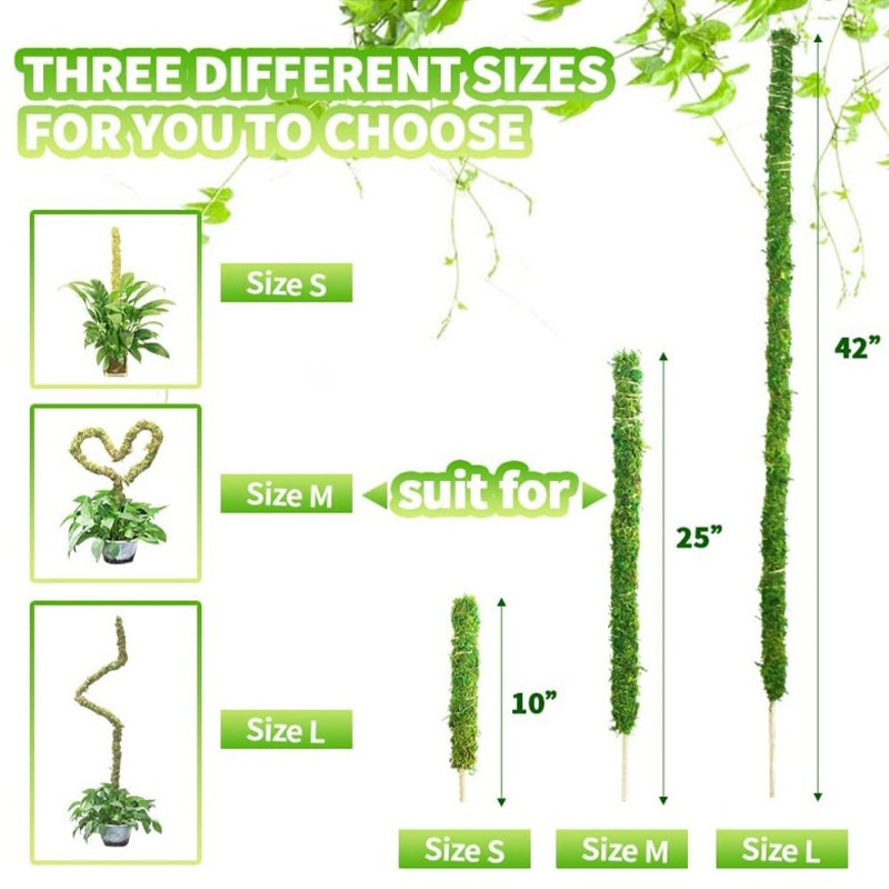 Flexible bendable greenery climbing vine bracket for garden plants