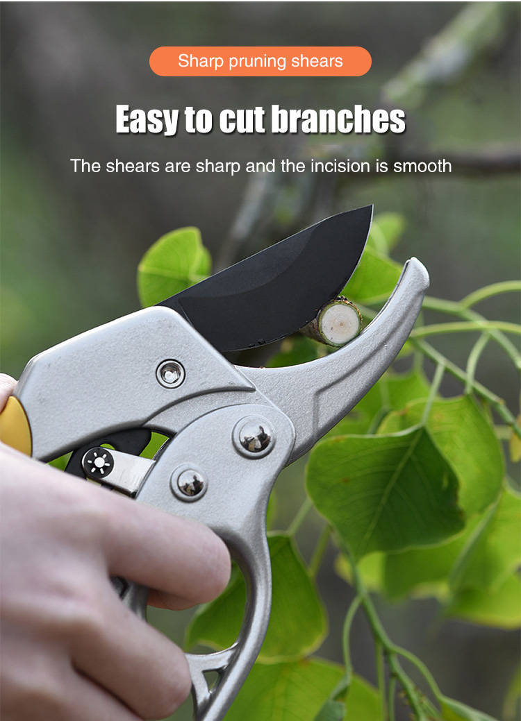 TH pruning shears used in flower garden