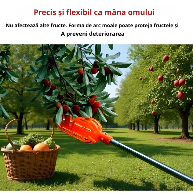 Culegător de fructe pentru pomi (cap necesar) 