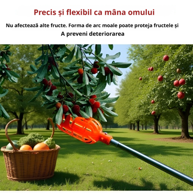 Culegător de fructe pentru pomi (cap necesar) 