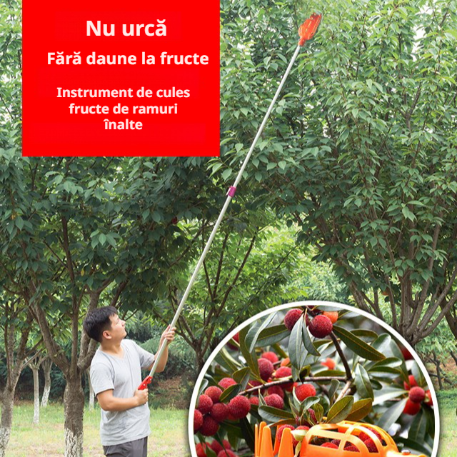 Culegător de fructe pentru pomi (cap necesar) 