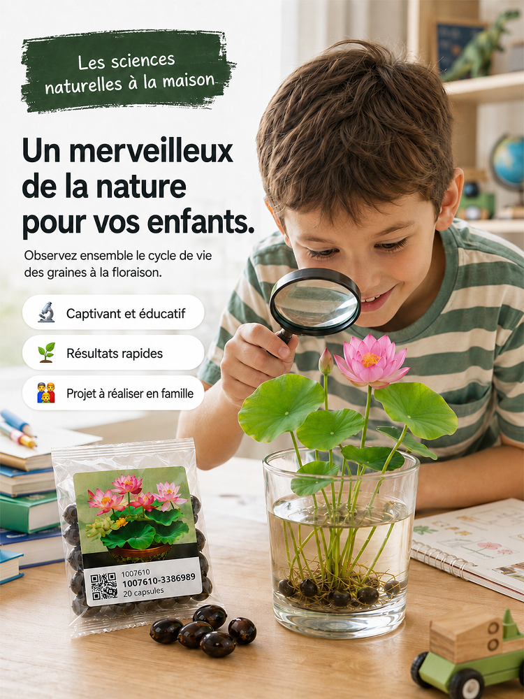 Lotus Purificateur d'Air CNRS🌸 | Sans terre ni engrais🧬 | Éclosion dans l'Eau💧 | Parfum Naturel de Grasse🧴 | Élimine le formaldéhyde🌿 | Résiste aux températures extrêmes | Fleurit toute l'année🌺
