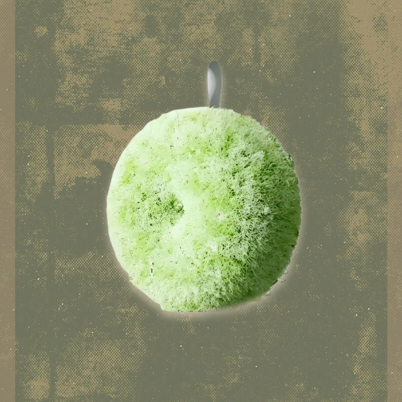 Brosse de nettoyage antibactérienne pour évier de salle de bain