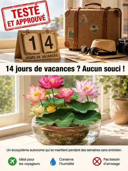 Lotus Purificateur d'Air CNRS🌸 | Sans terre ni engrais🧬 | Éclosion dans l'Eau💧 | Parfum Naturel de Grasse🧴 | Élimine le formaldéhyde🌿 | Résiste aux températures extrêmes | Fleurit toute l'année🌺