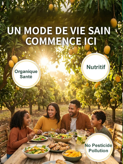 【Garantie de Reprise à100%】Manguier Nain Alphonso – Développé par l’INRAE 🥭Récolte express en août ✨ Résistant au froid extrême jusqu’à -20 °C ❄️ Facile à cultiver sur balcon, même pour les débutants ✨