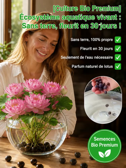 Lotus Purificateur d'Air CNRS🌸 | Sans terre ni engrais🧬 | Éclosion dans l'Eau💧 | Parfum Naturel de Grasse🧴 | Élimine le formaldéhyde🌿 | Résiste aux températures extrêmes | Fleurit toute l'année🌺