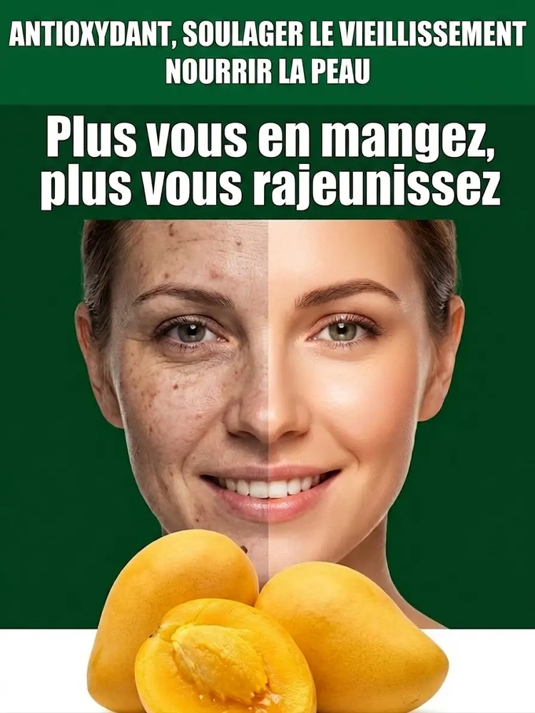 【Garantie de Reprise à100%】Manguier Nain Alphonso – Développé par l’INRAE 🥭Récolte express en août ✨ Résistant au froid extrême jusqu’à -20 °C ❄️ Facile à cultiver sur balcon, même pour les débutants ✨