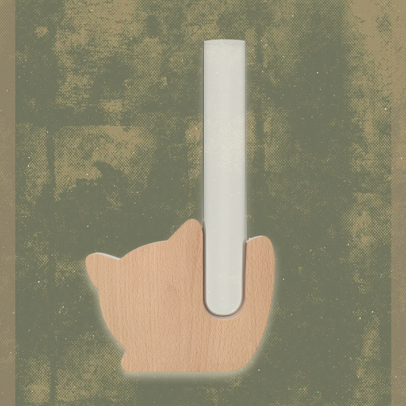 Vase magnétique en tube à essai en bois naturel pour réfrigérateur