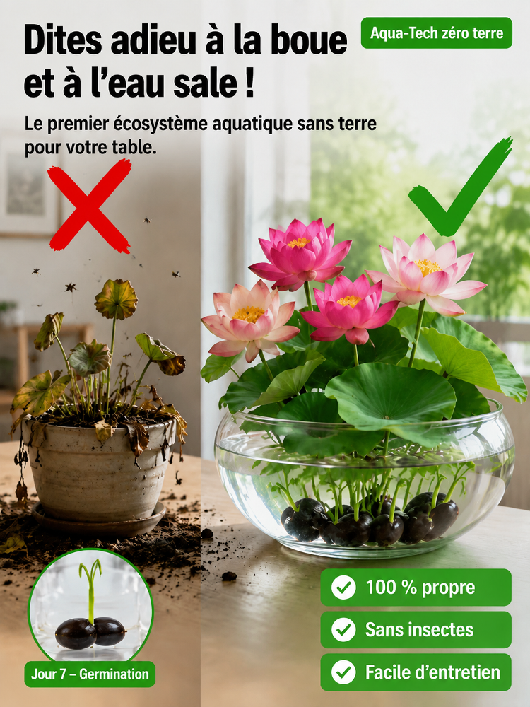 Lotus Purificateur d'Air CNRS🌸 | Sans terre ni engrais🧬 | Éclosion dans l'Eau💧 | Parfum Naturel de Grasse🧴 | Élimine le formaldéhyde🌿 | Résiste aux températures extrêmes | Fleurit toute l'année🌺