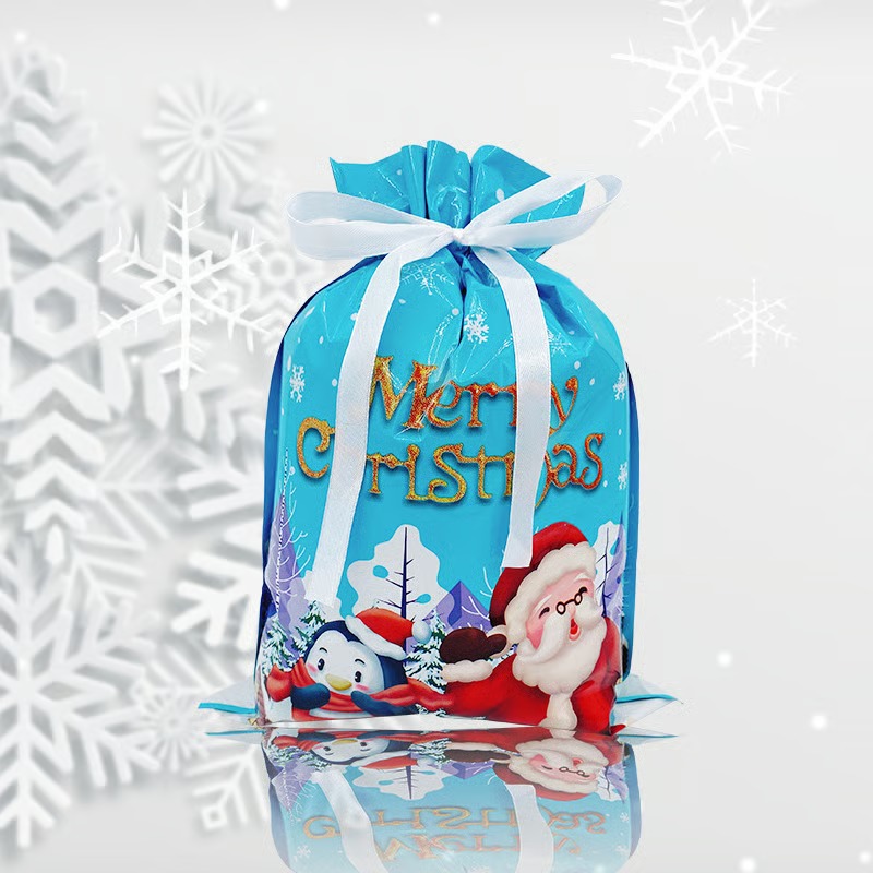 🎄 Christmas Gift Bags (Biodegradable)