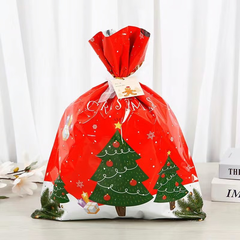 🎄 Christmas Gift Bags (Biodegradable)