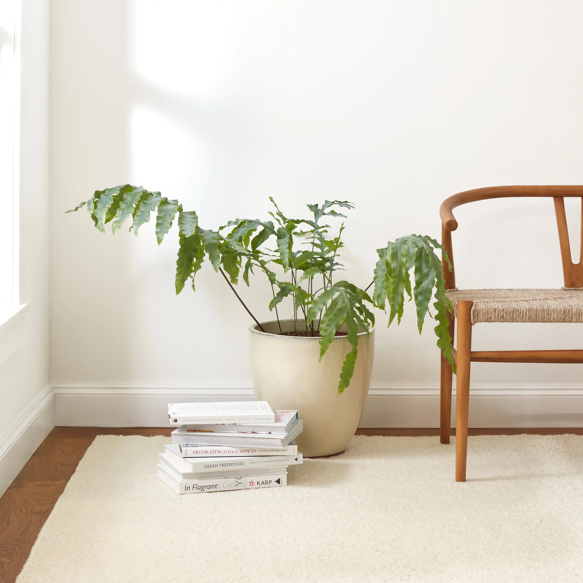 Holmstead Handwoven Wool Rug | Ivory