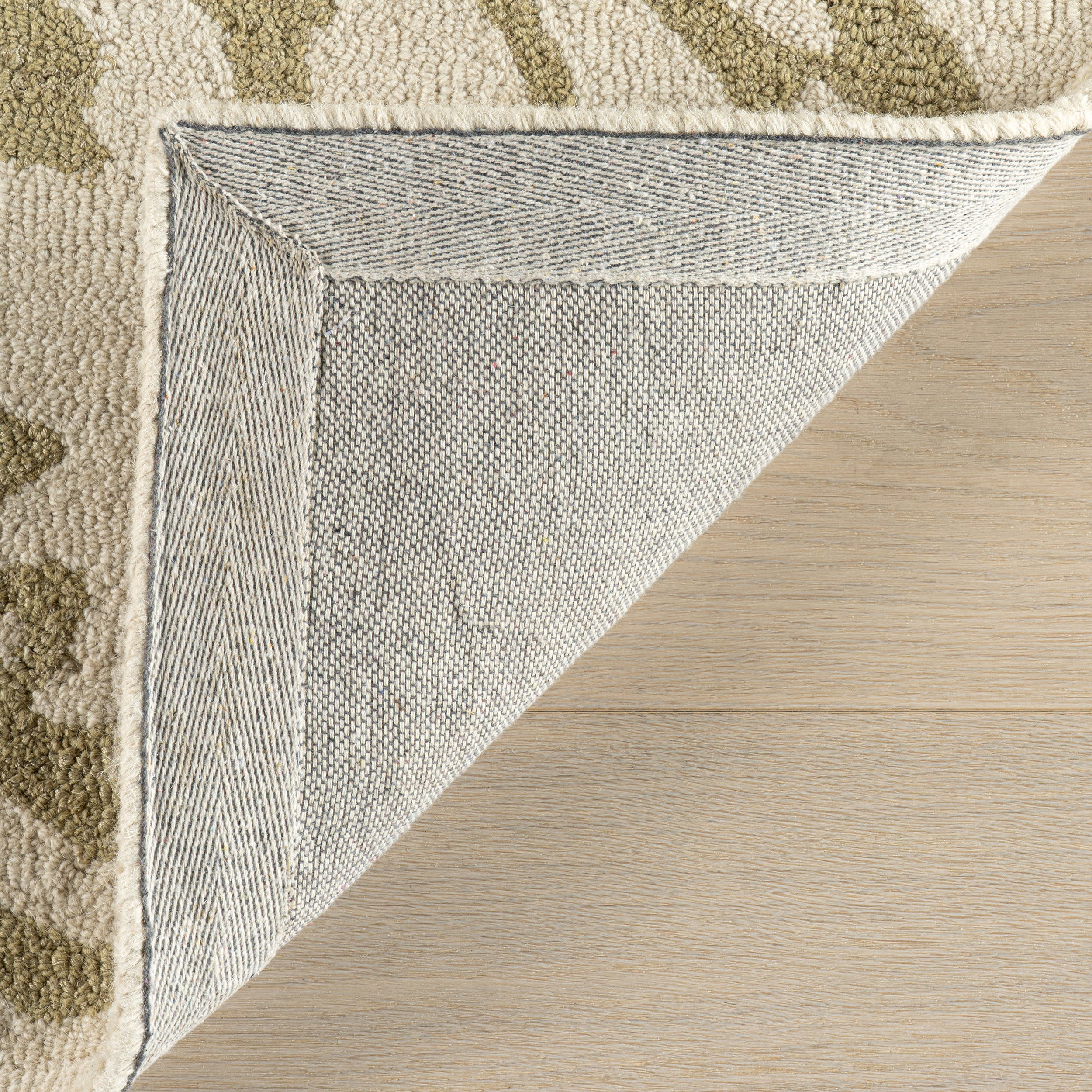 Ayloh Transitional Floral and Paisley Rug | Olive