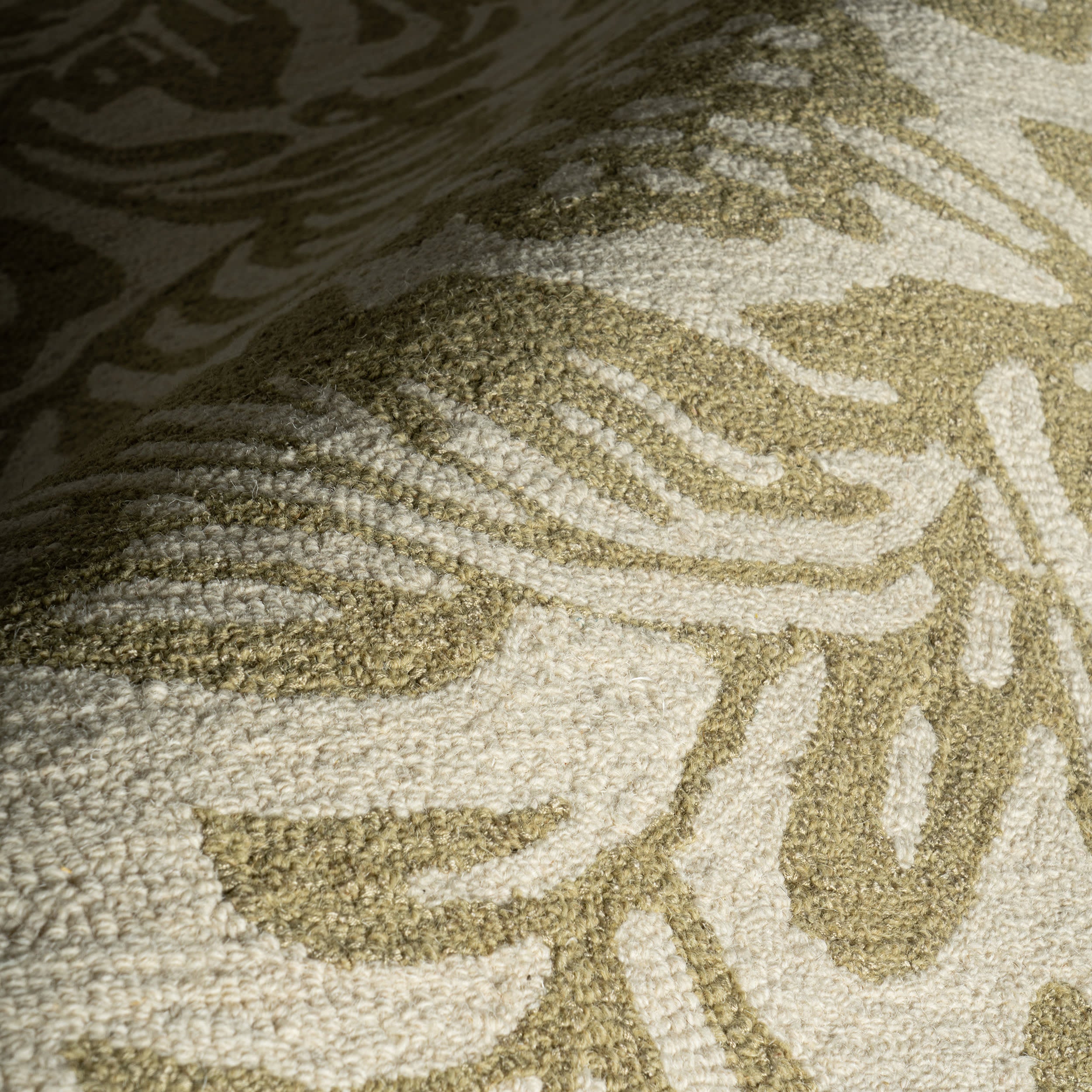 Ayloh Transitional Floral and Paisley Rug | Olive