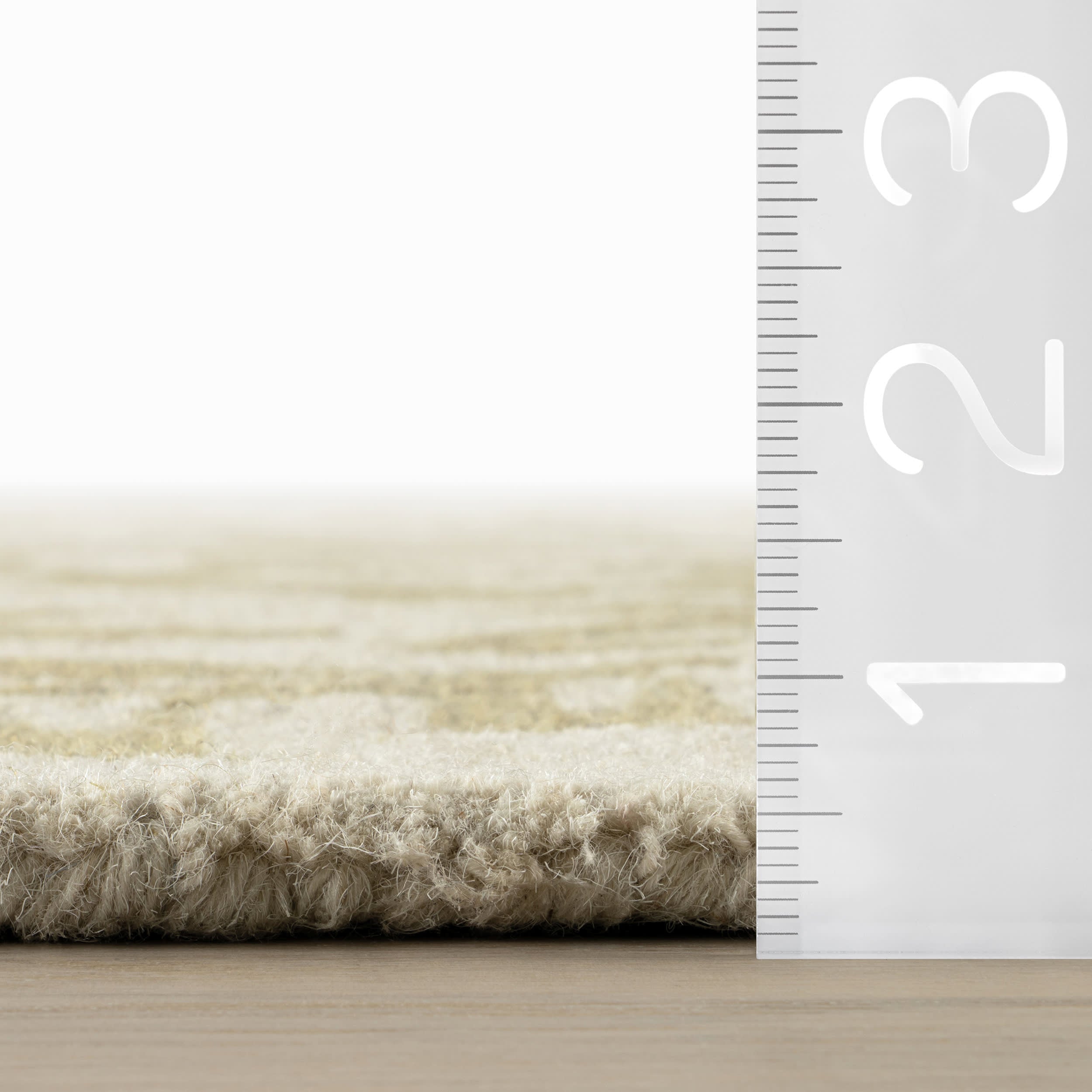 Ayloh Transitional Floral and Paisley Rug | Olive