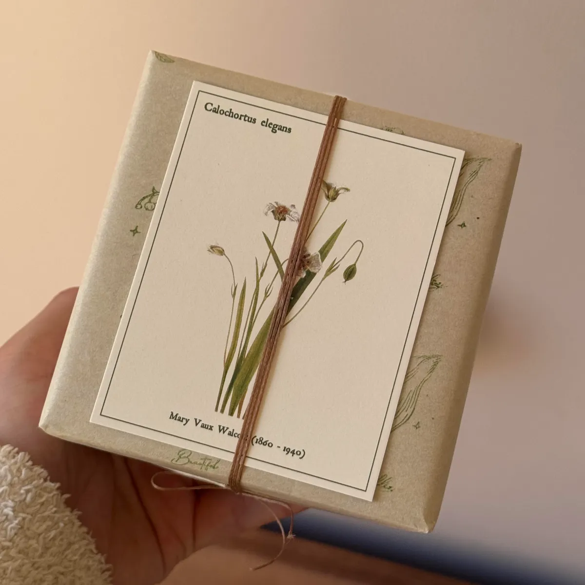 Packaging Insert Cards