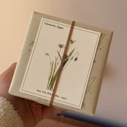 Packaging Insert Cards