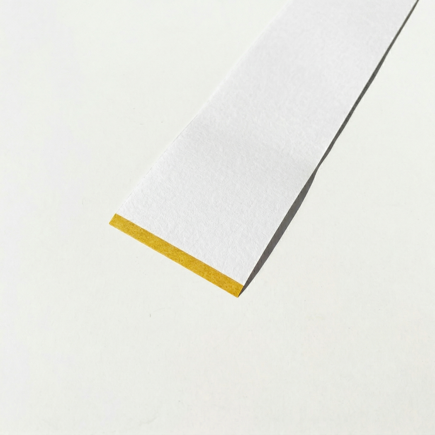 Packaging Belly Bands