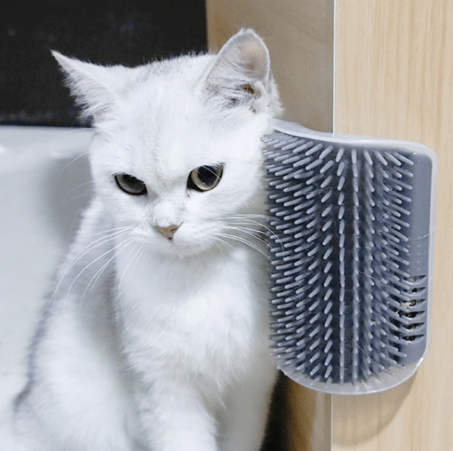 ??Corner Massage Cat Brush