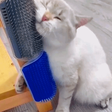 ??Corner Massage Cat Brush