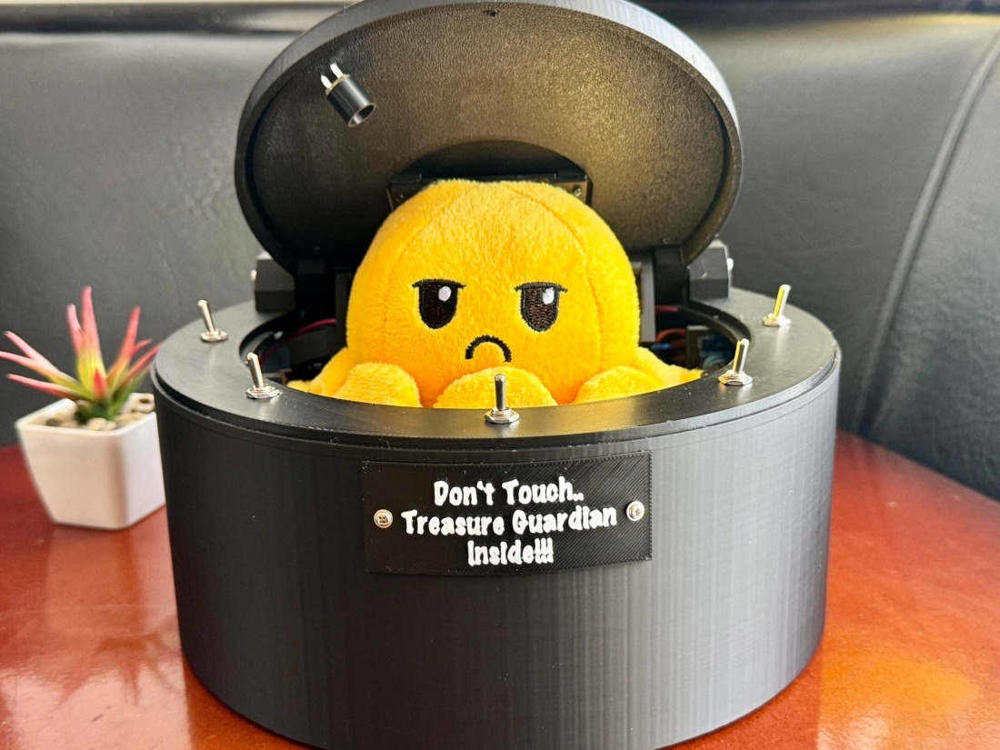 Don’t Touch Treasure Guardian Box