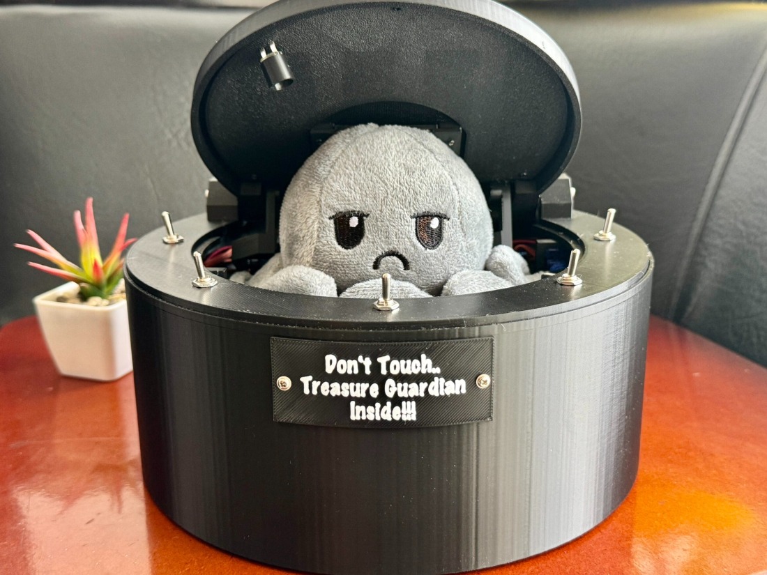 Don’t Touch Treasure Guardian Box 