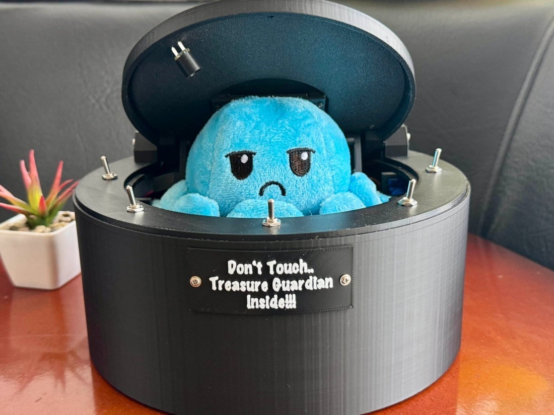 Don’t Touch Treasure Guardian Box 