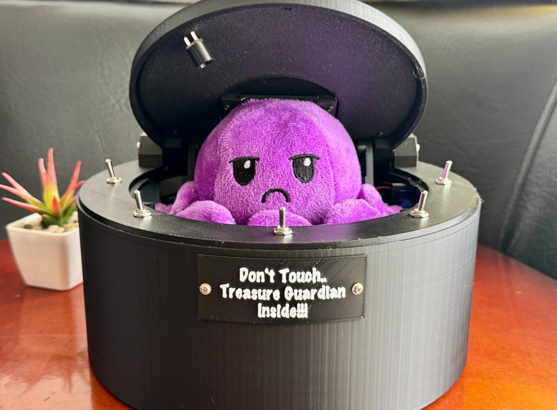 Don’t Touch Treasure Guardian Box 