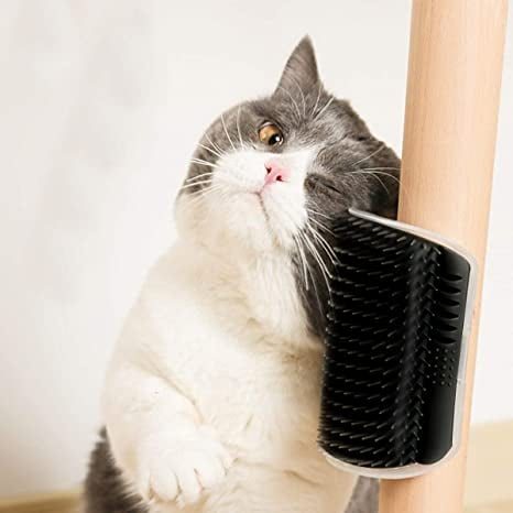 ??Corner Massage Cat Brush