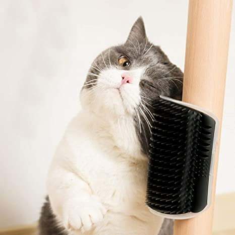 ??Corner Massage Cat Brush