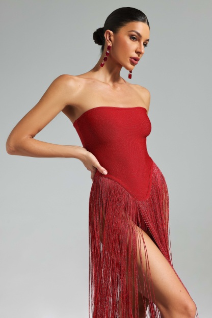 Haylee Strapless Fringe Dress
