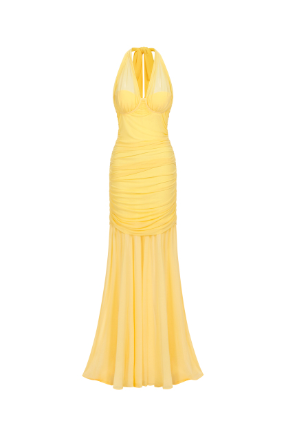 Emerita Sleeveless Ruched Mesh Maxi Dress