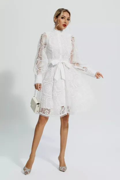 Mona White Lace Jacquard Mini Dress