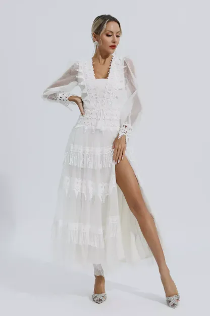 Audra White Lace Mesh Maxi Dress