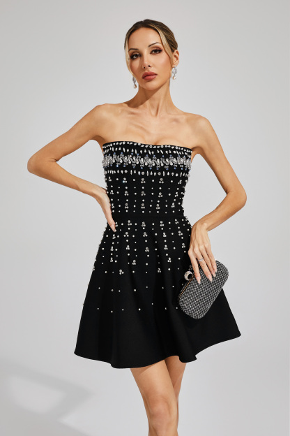 Erica Black Diamond Embellished Mini Dress