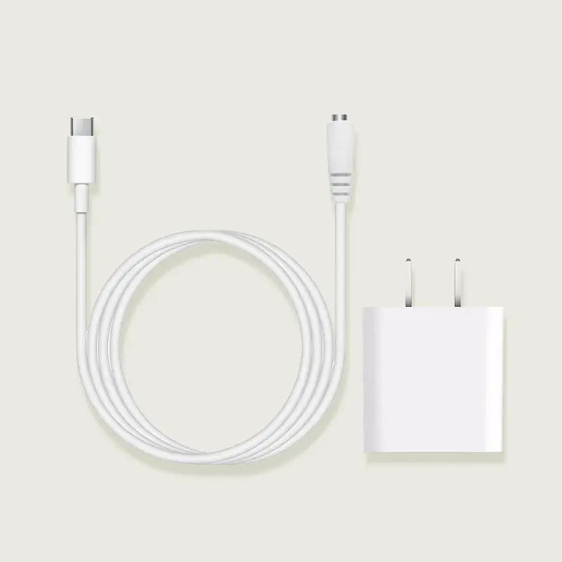 Pintura Official Charger for Single Pinpin (12V 5A, 2m Cable)