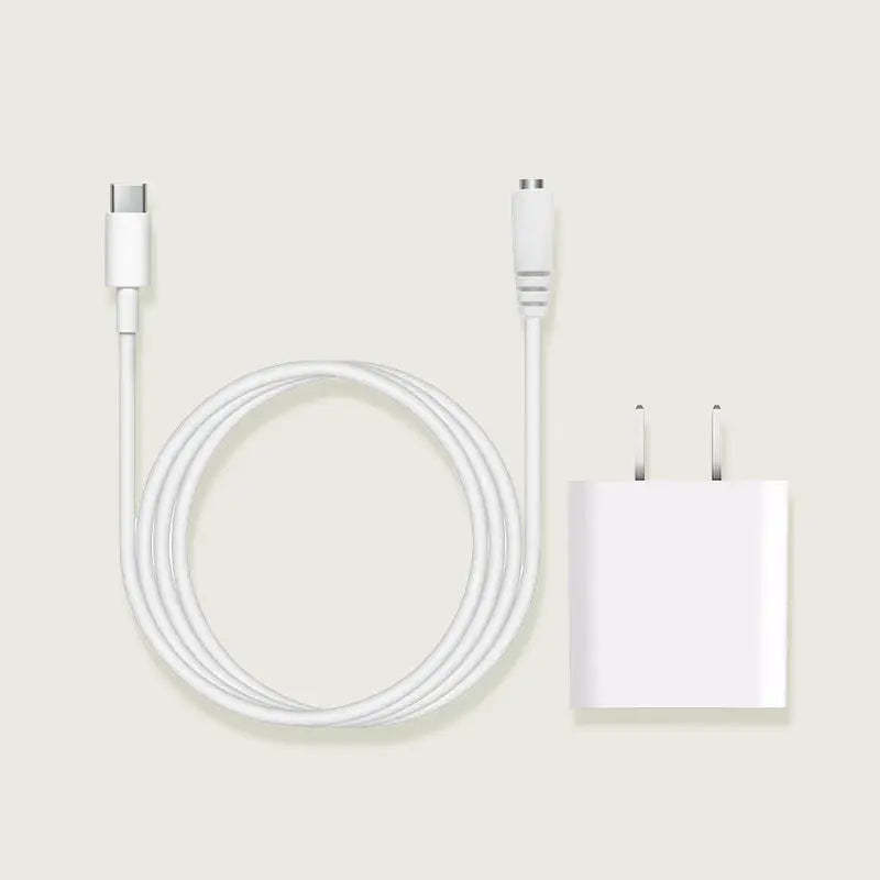 Pintura Official Charger for Single Pinpin (12V 5A, 2m Cable)