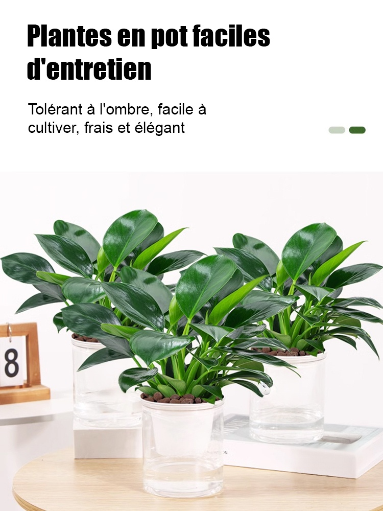 Passer commande en fonction du volume de commandes.