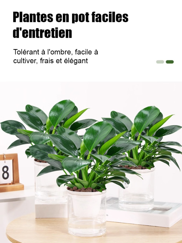 Passer commande en fonction du volume de commandes.