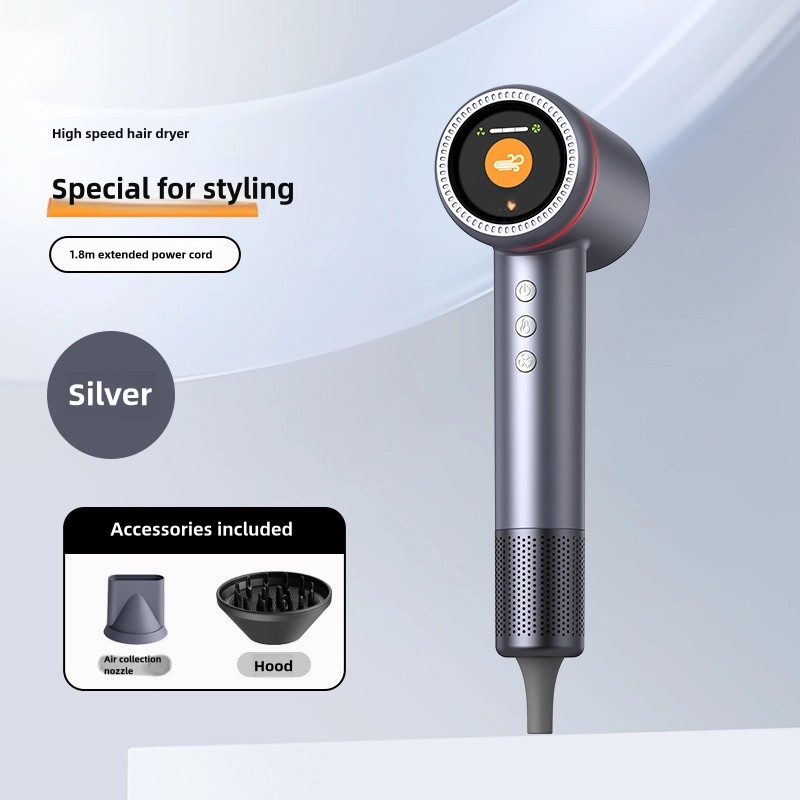 Salon-Grade Hair Dryer, Fast Drying, Frizz Reducing, Low-Noise Design (Concentrator + Diffuser) - Silver