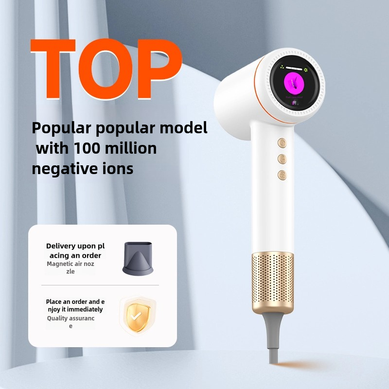 SalonCare Pro Hair Dryer: 110,000 RPM Motor, 5B Negative Ions, LED Display, Fast Drying & Frizz Control (Hair Dryer + Air Nozzle)