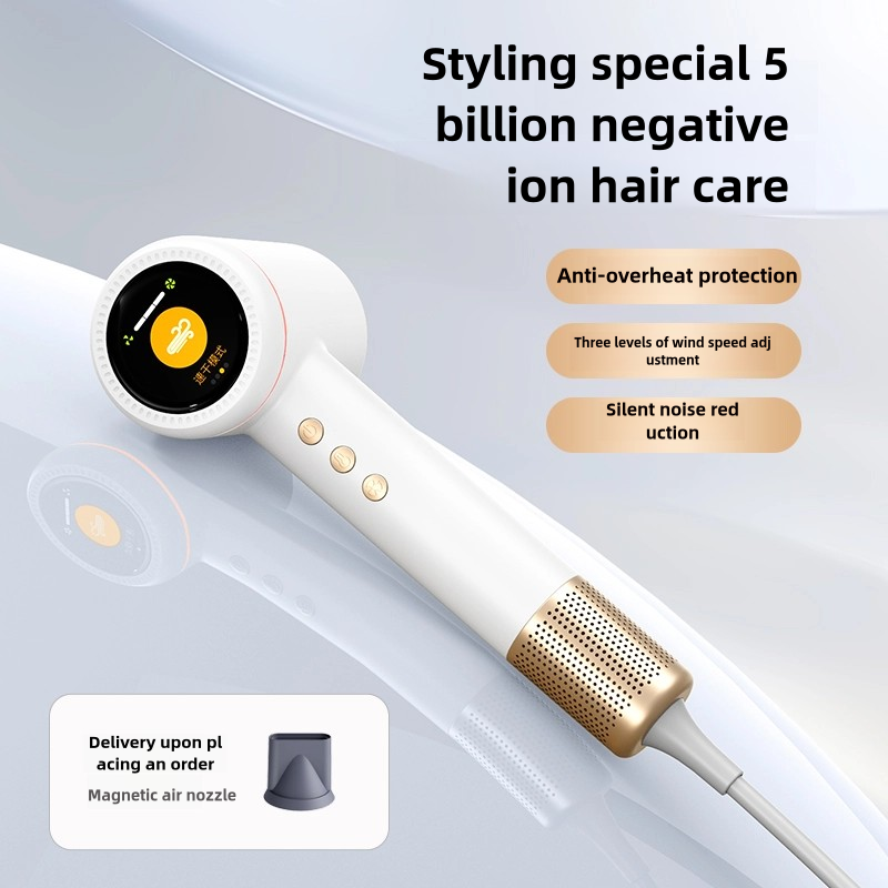 SalonCare Pro Hair Dryer: 110,000 RPM Motor, 5B Negative Ions, LED Display, Fast Drying & Frizz Control (Hair Dryer + Air Nozzle)