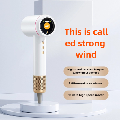 SalonCare Pro Hair Dryer: 110,000 RPM Motor, 5B Negative Ions, LED Display, Fast Drying & Frizz Control (Hair Dryer + Air Nozzle)