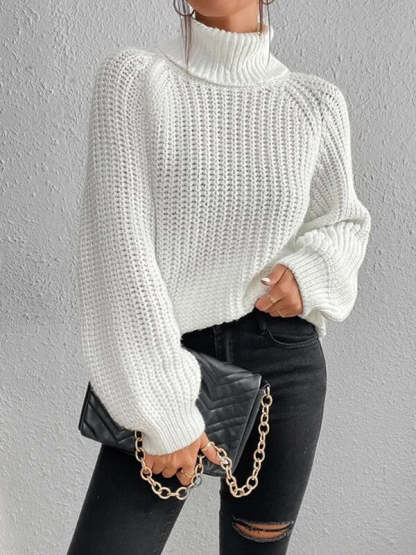 Ashlee | Chunky Knit Turtleneck Sweater